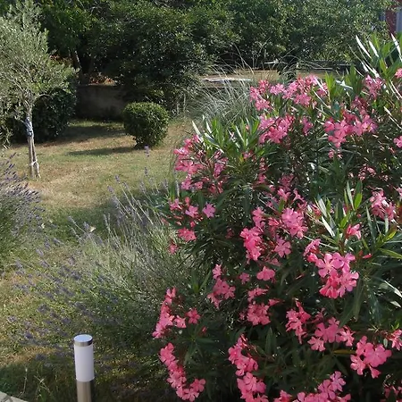 Adriana Holiday Apartment Labin  Exterior photo