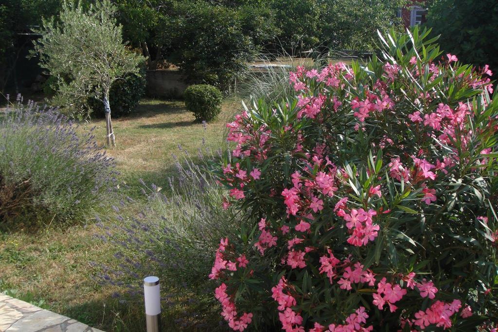 Apartment Adriana Labin (Istria)